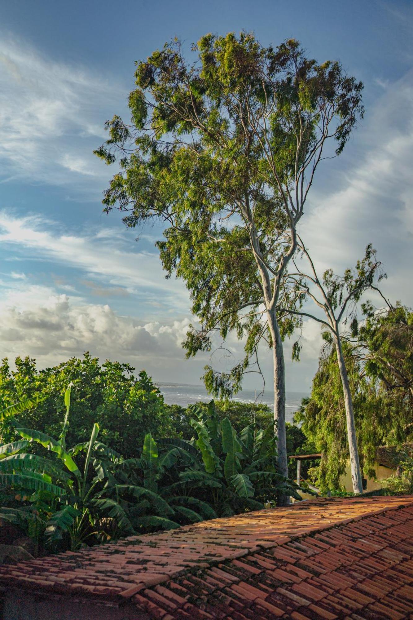 Sossego 3* Tibau do Sul